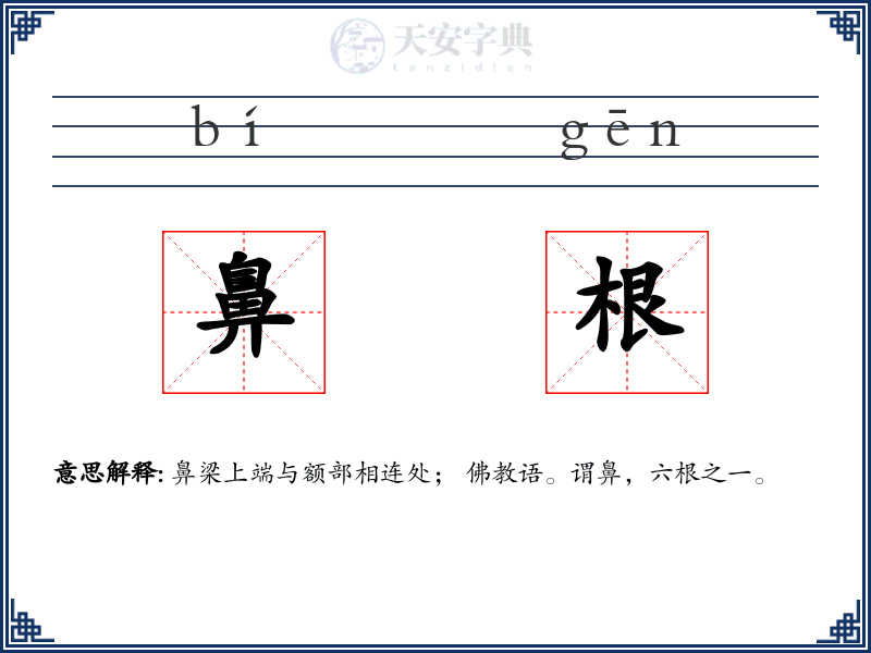 鼻根