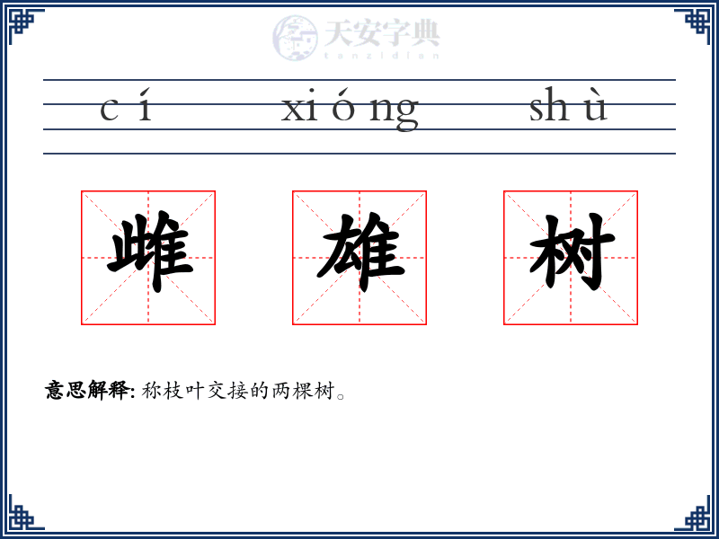 雌雄树