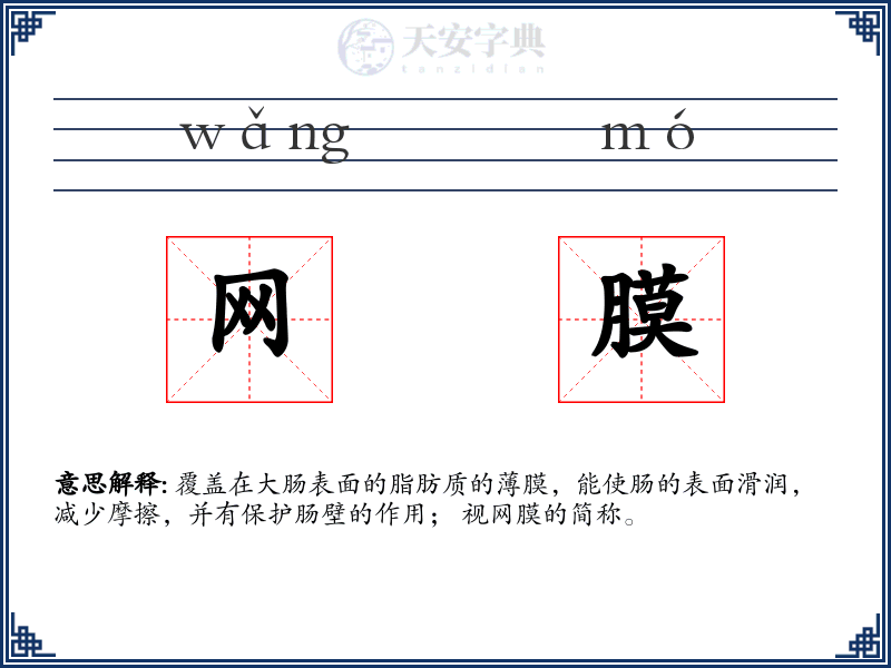 网膜