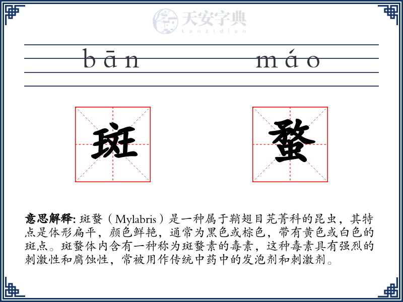 斑蝥