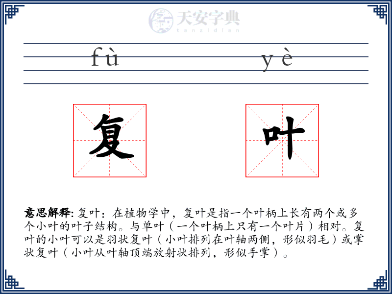 复叶