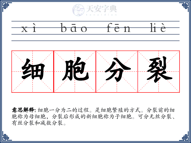细胞分裂