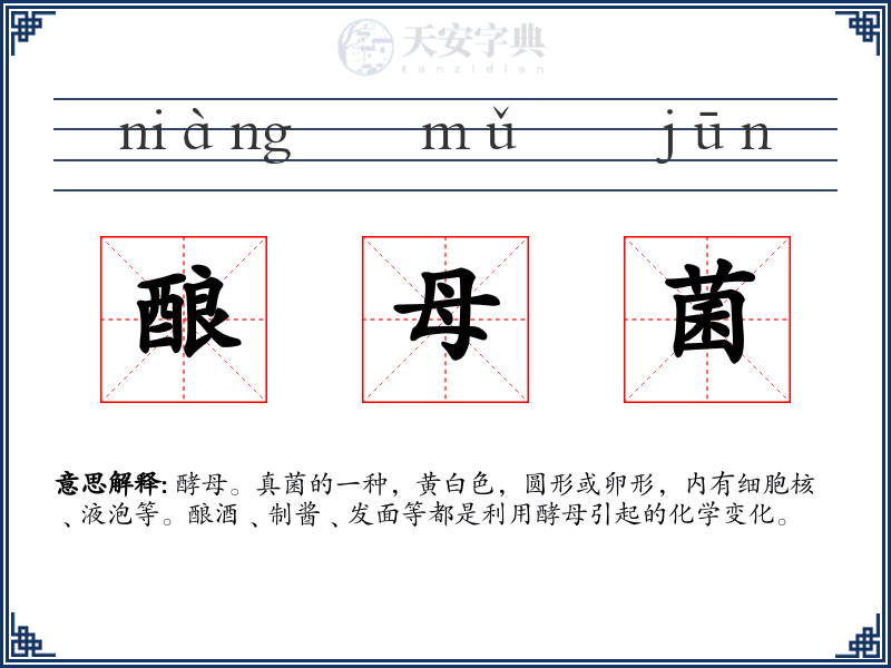 酿母菌