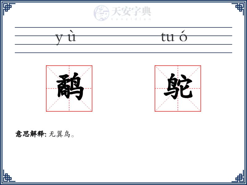 鹬鸵