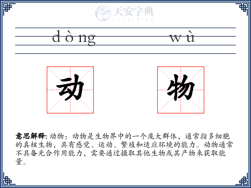 动物