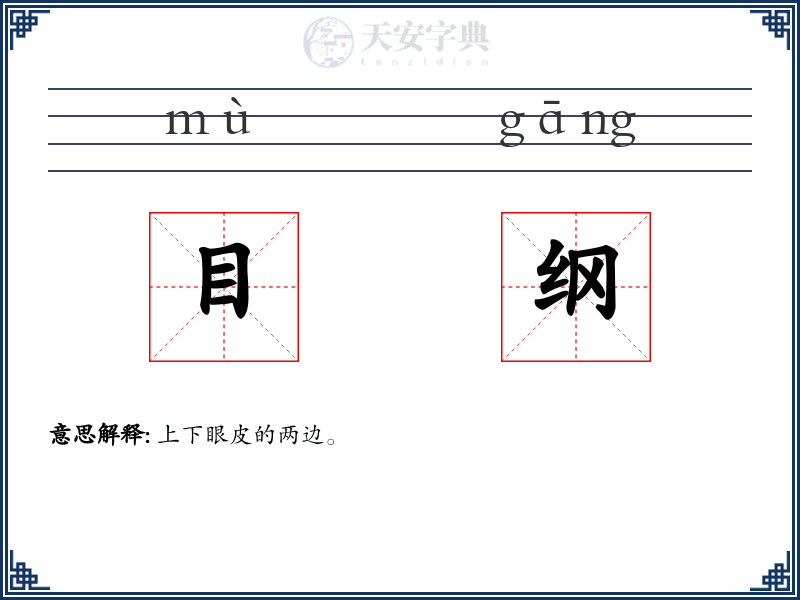 目纲
