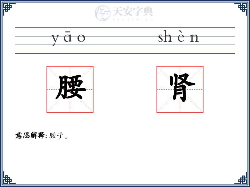 腰肾