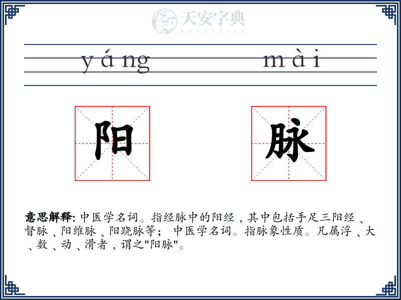 阳脉