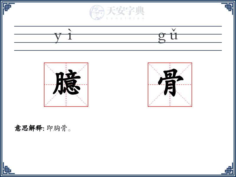臆骨