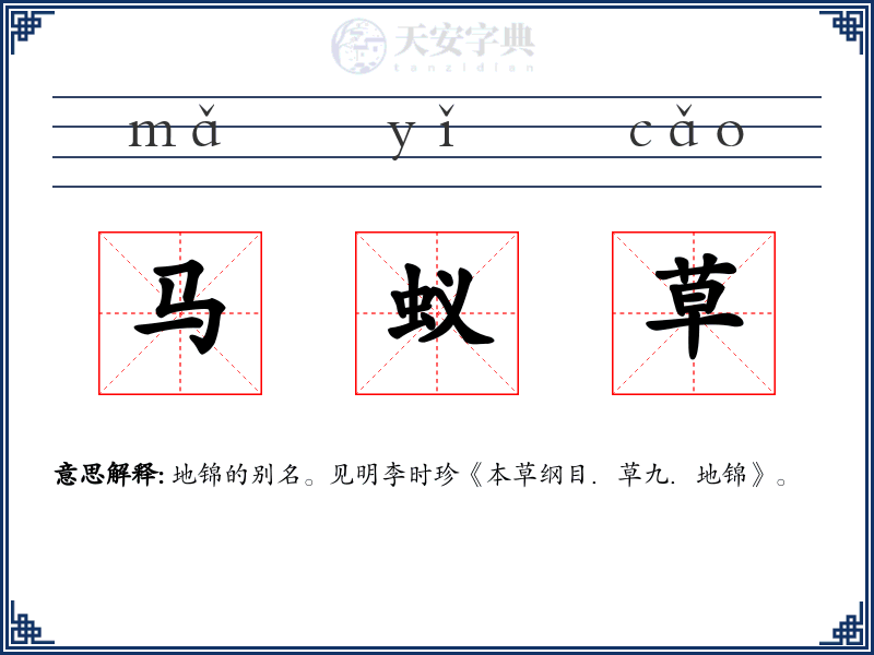 马蚁草