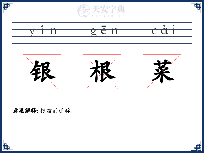 银根菜