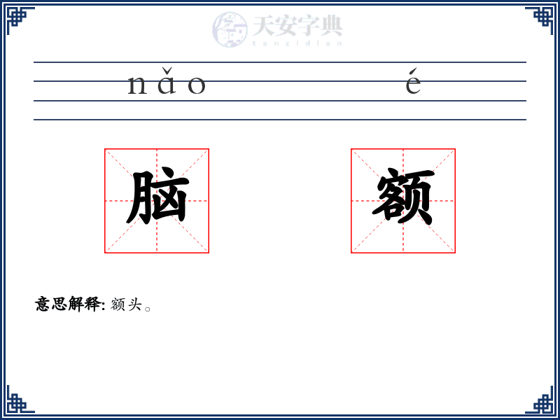 脑额