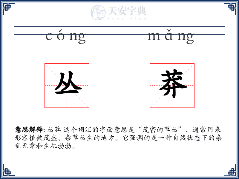 丛莽