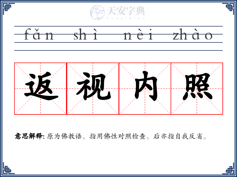 返视内照