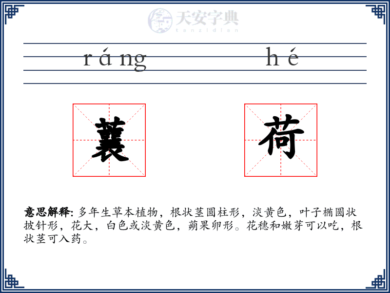 蘘荷
