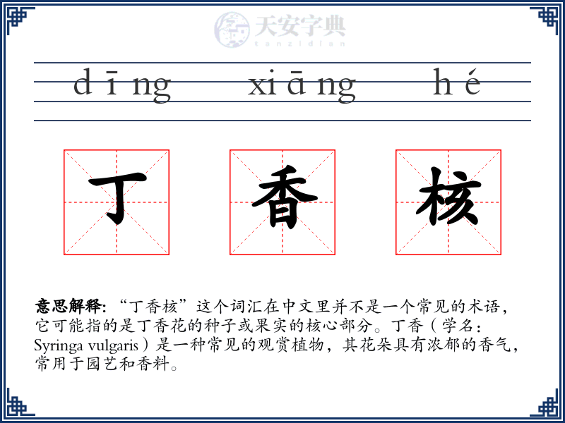 丁香核