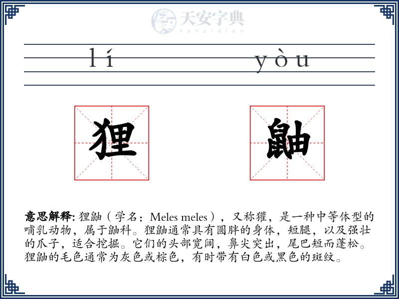 狸鼬