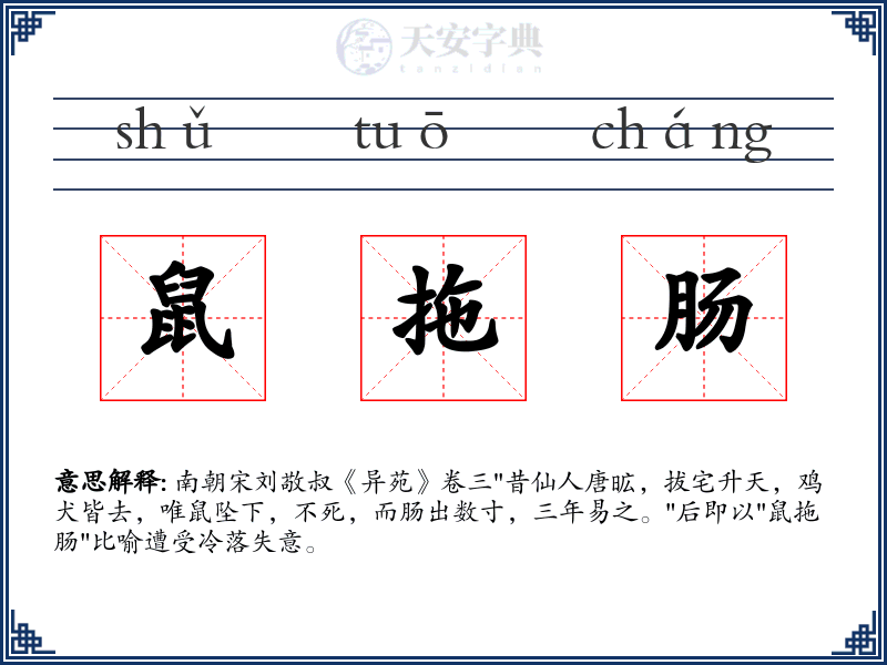 鼠拖肠