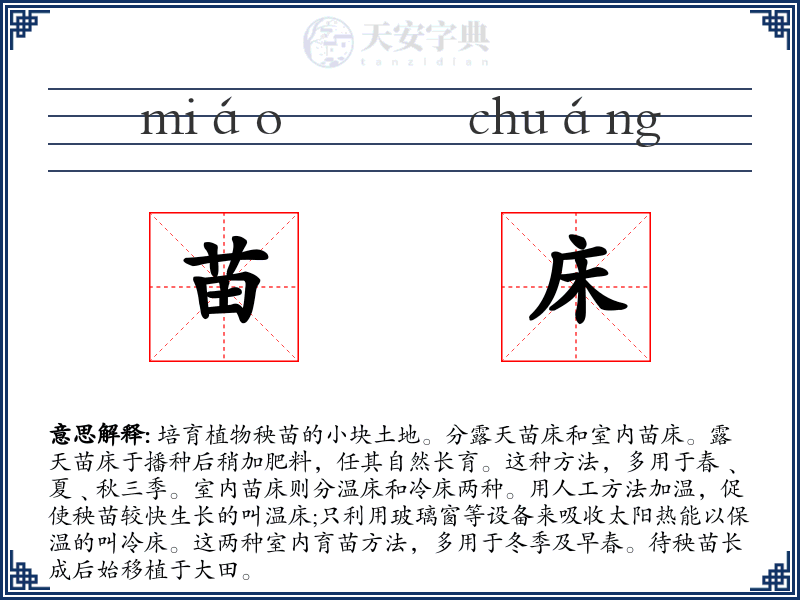 苗床