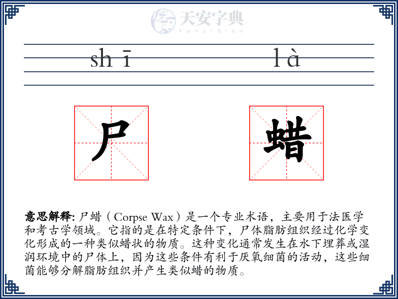 尸蜡