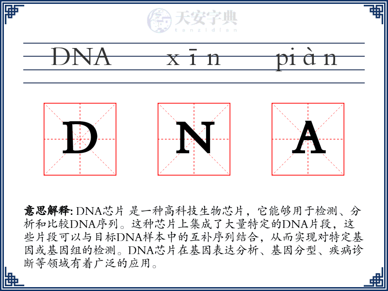 DNA芯片