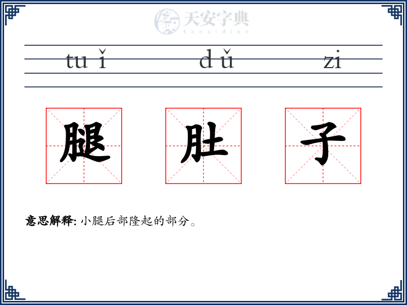 腿肚子