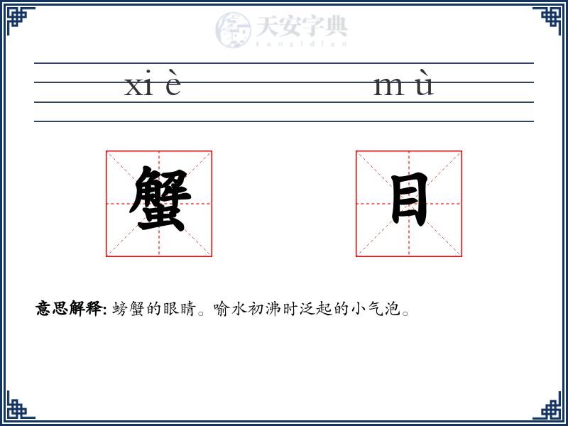 蟹目