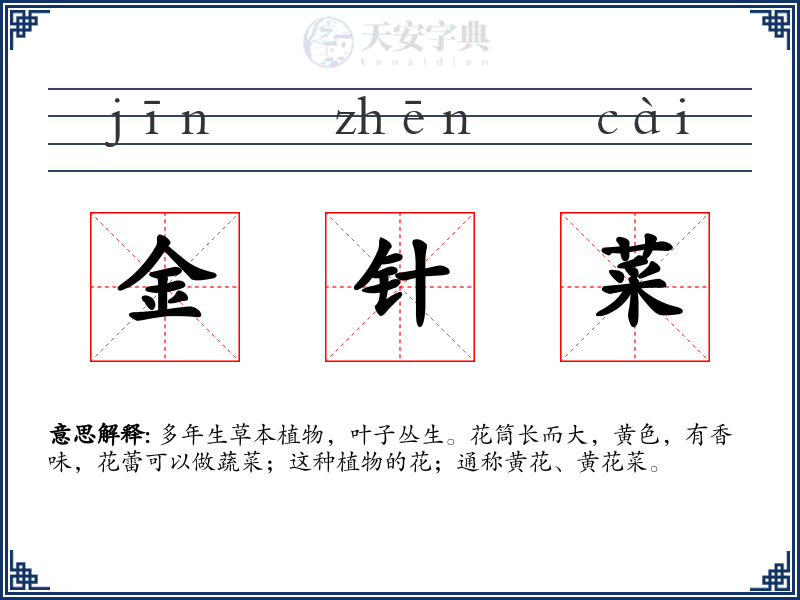 金针菜