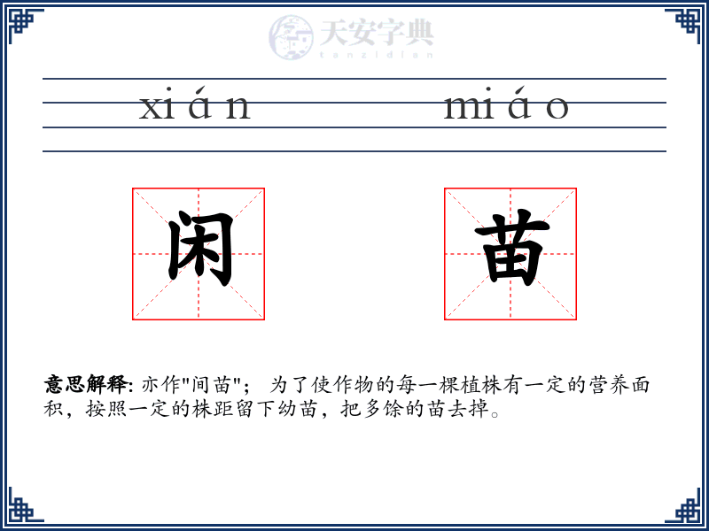 闲苗