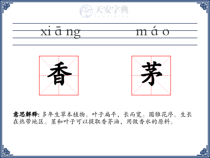 香茅