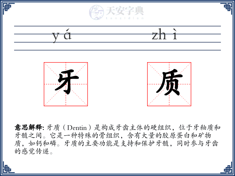 牙质