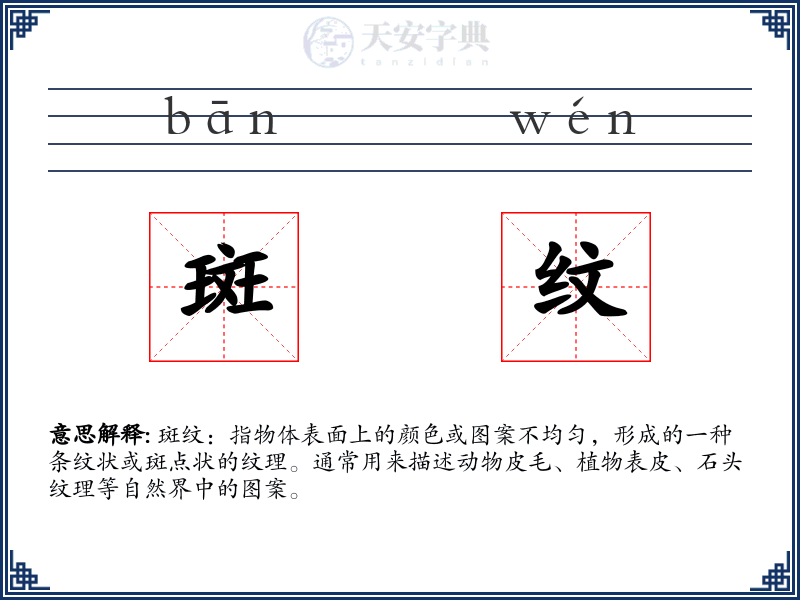 斑纹
