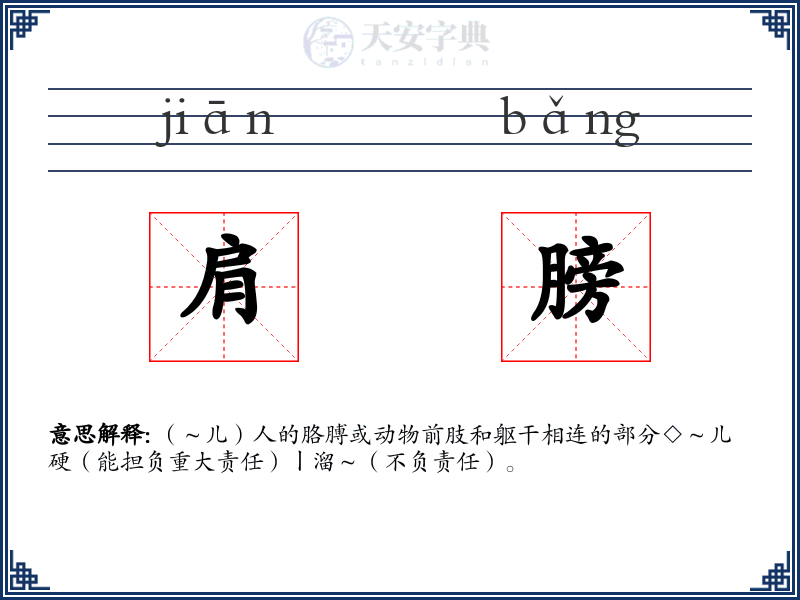 肩膀