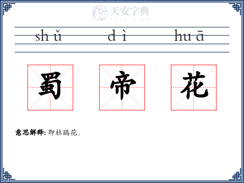 蜀帝花