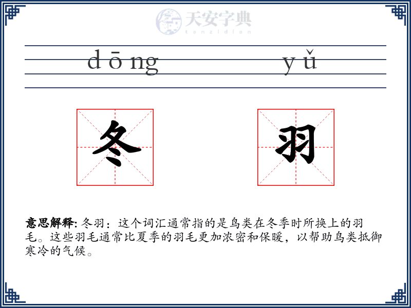 冬羽