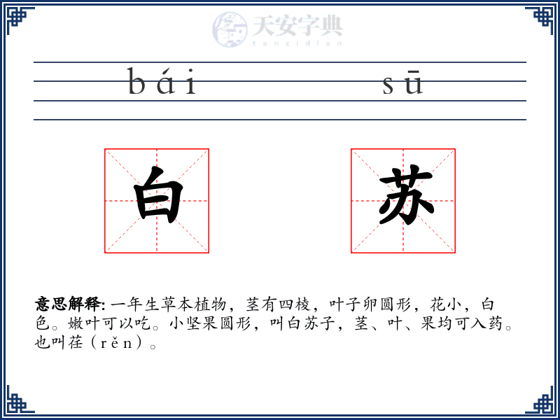 白苏