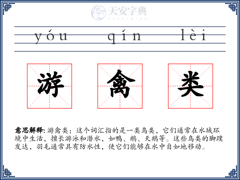 游禽类
