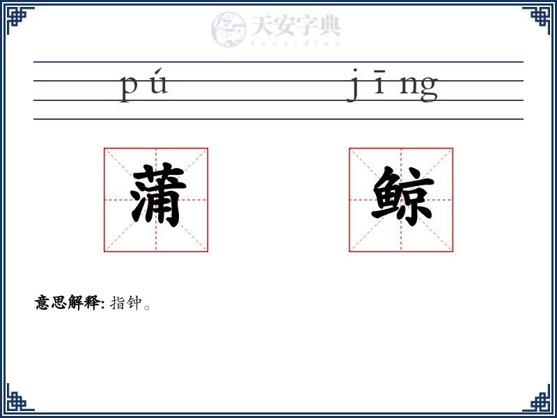 蒲鲸