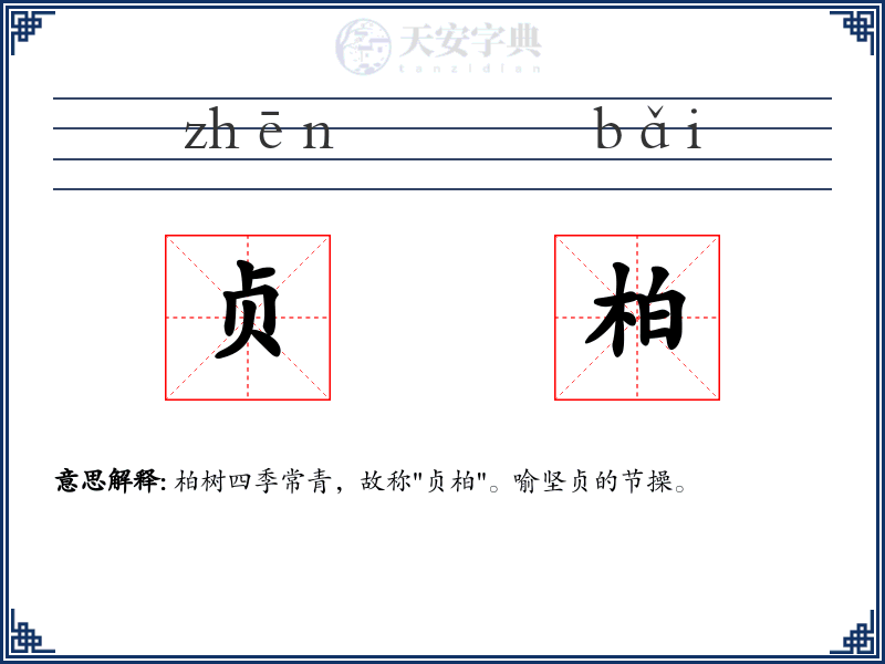 贞柏