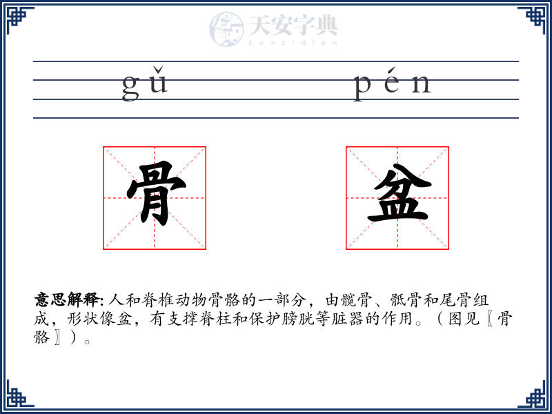 骨盆