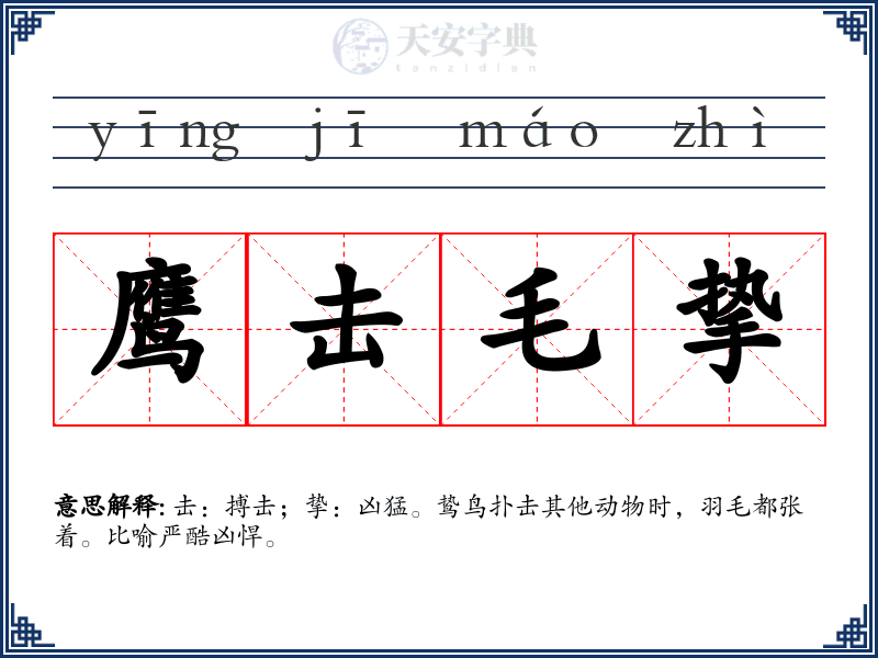 鹰击毛挚