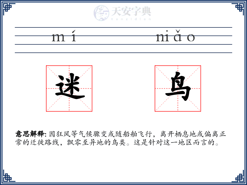 迷鸟