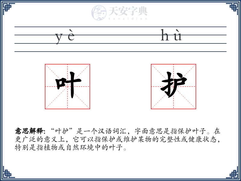 叶护
