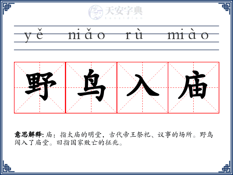 野鸟入庙