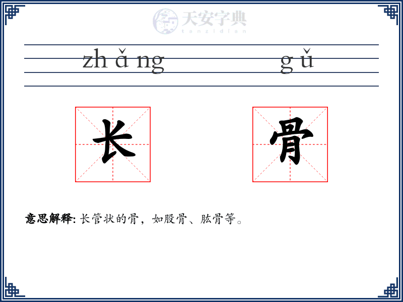 长骨