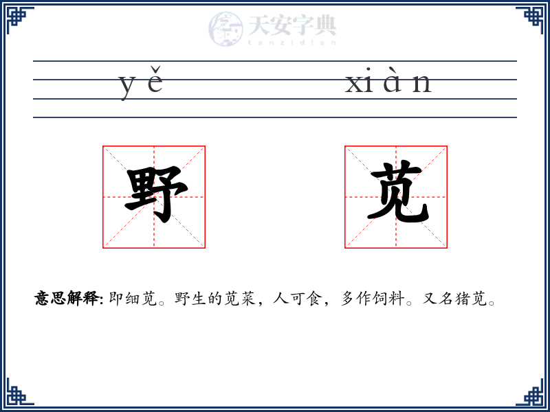 野苋