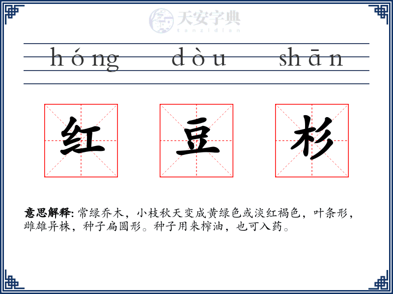 红豆杉