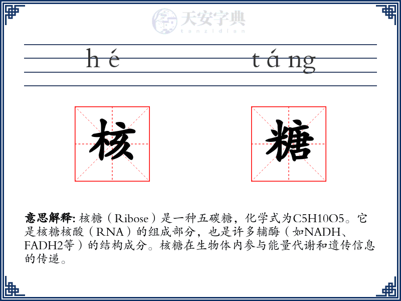 核糖