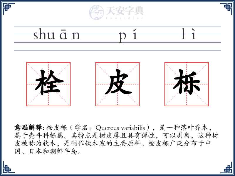 栓皮栎