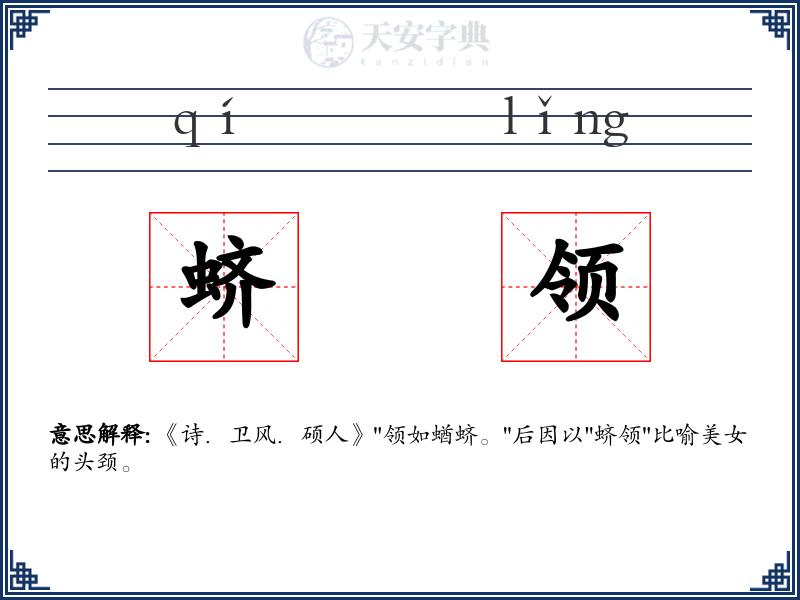 蛴领